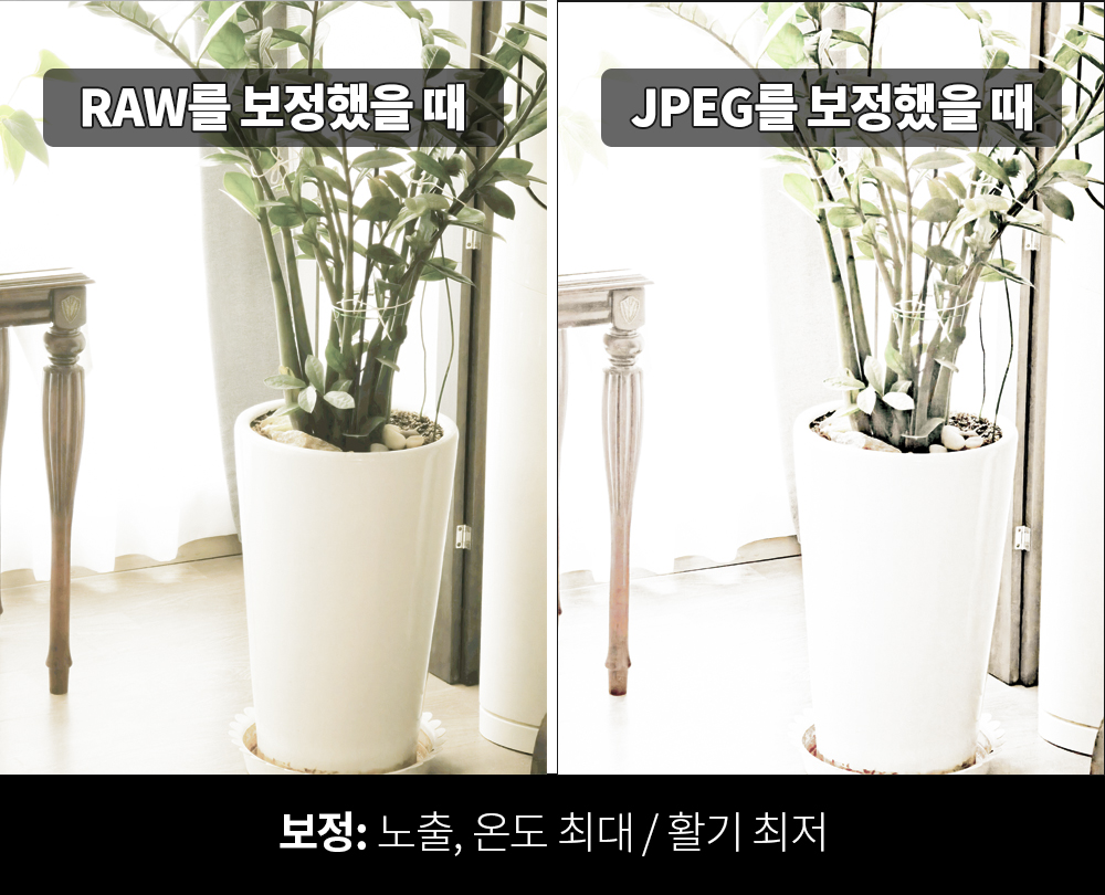 이미지 설명