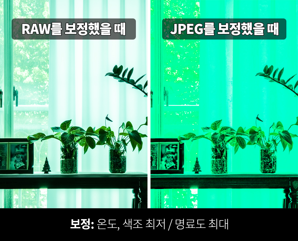 이미지 설명
