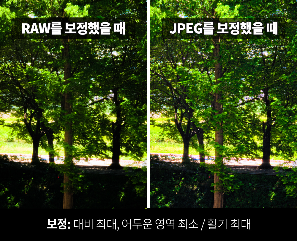 이미지 설명
