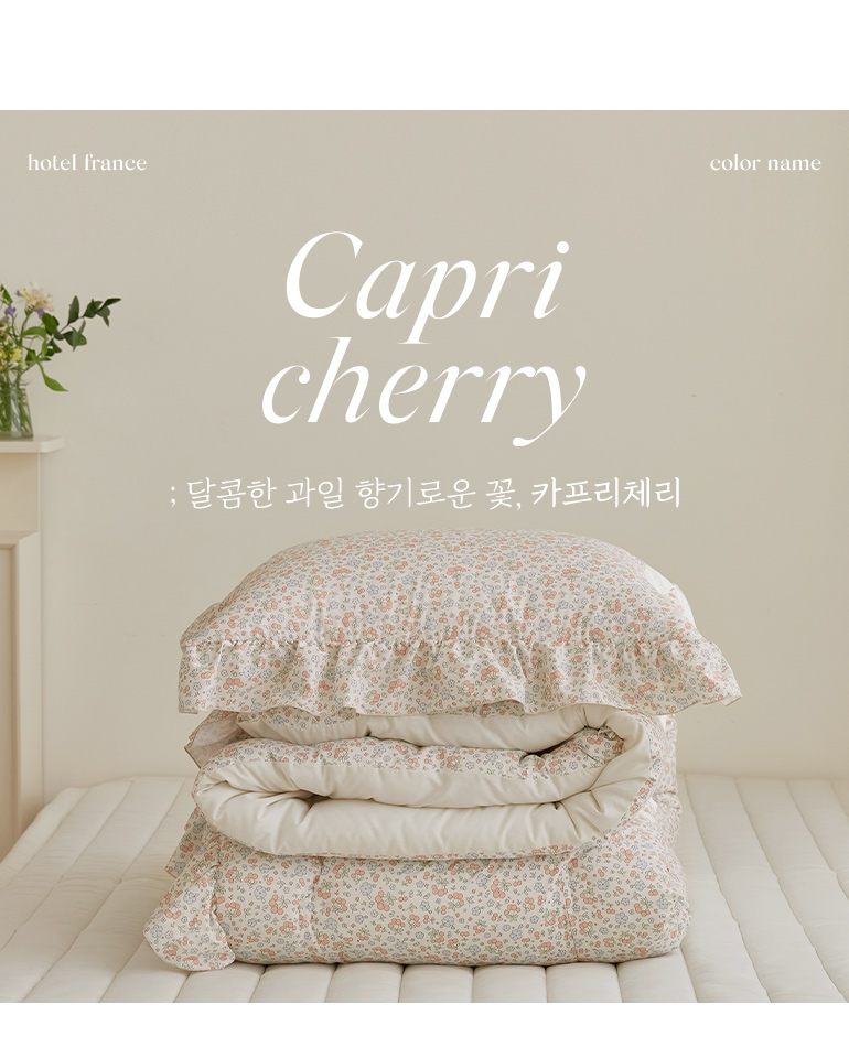 컬러소개