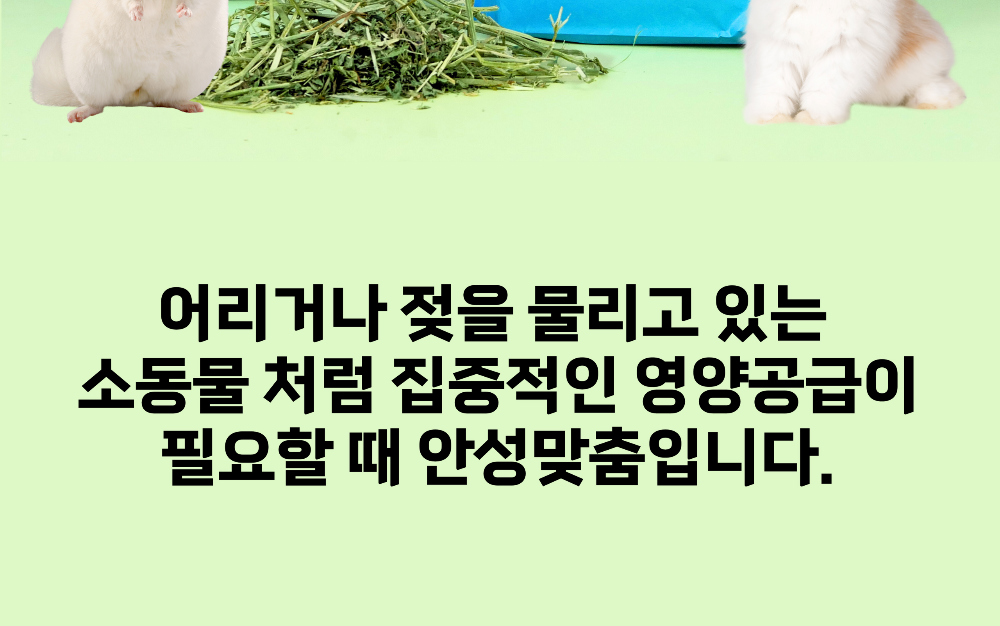 악세사리 상품 이미지-S1L3