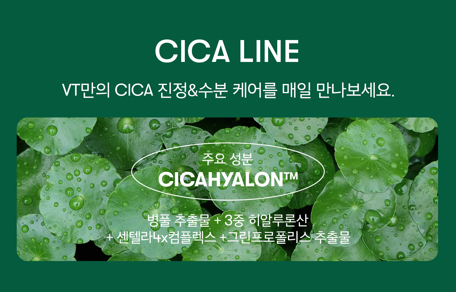 VT Cosmetics Cica Essence Sun Cushion SPF50+ PA++++
