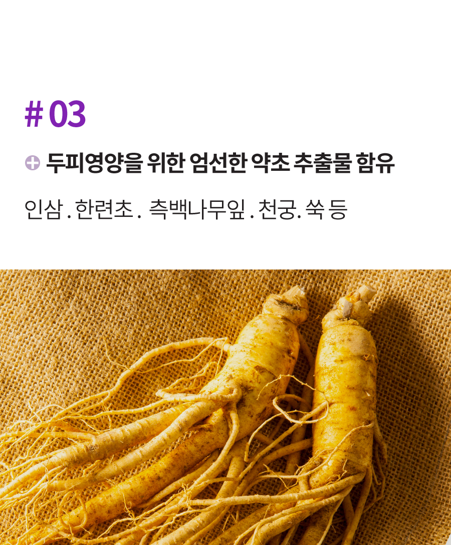Daeng Gi Meo Ri Jin Gi Root Revitalizing Scalp Essence 145ml