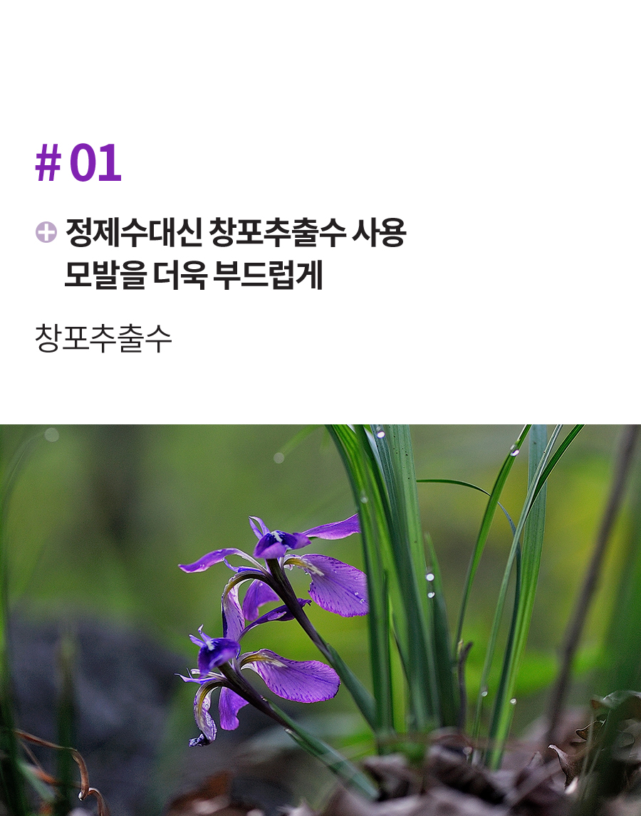 Daeng Gi Meo Ri Jin Gi Root Revitalizing Scalp Essence 145ml