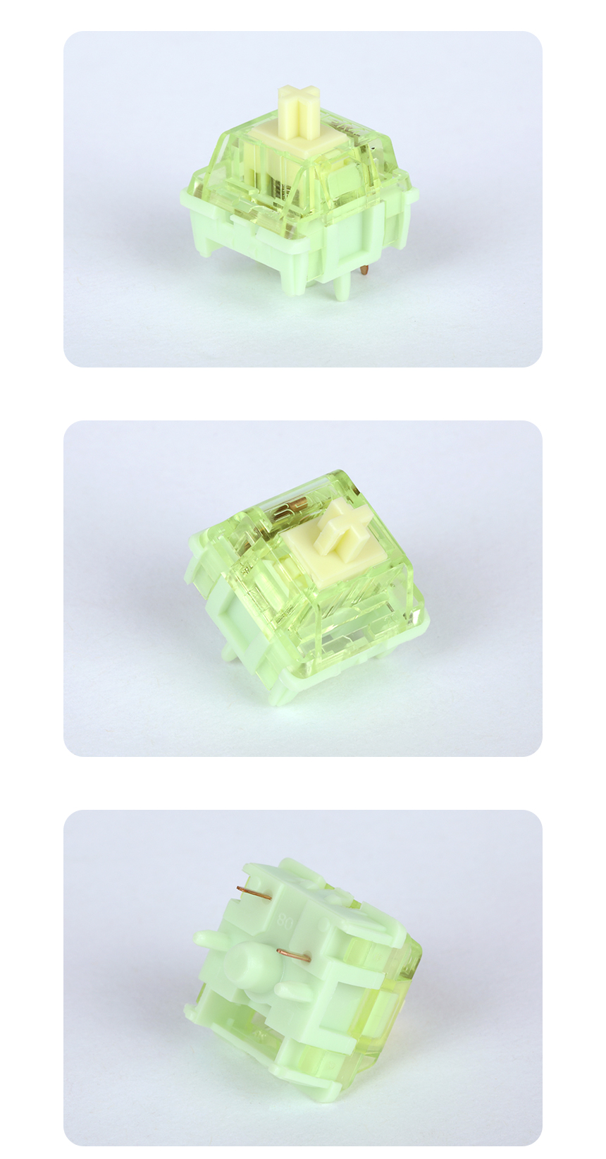 SPM_JELLY_DB_03.jpg