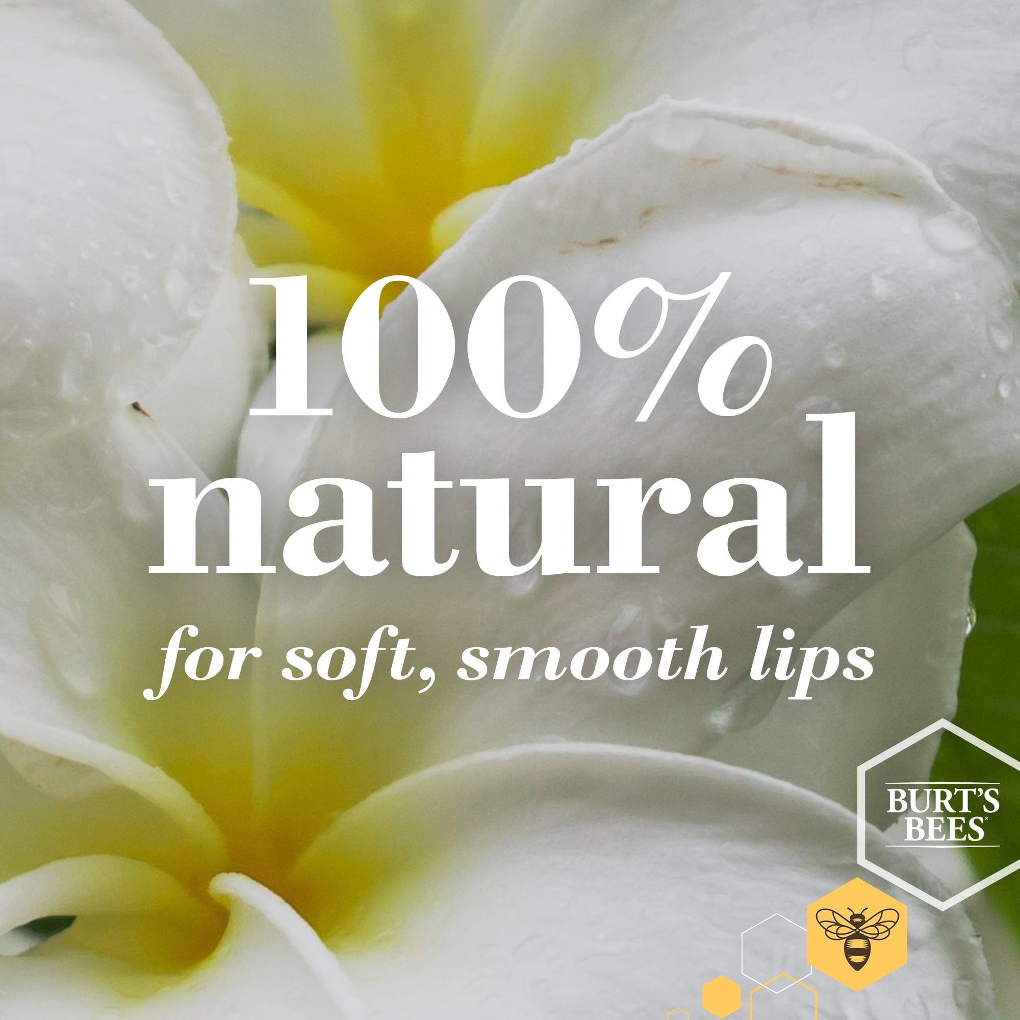 Burt's Bees Vanilla Bean Lip Balm 4.25g