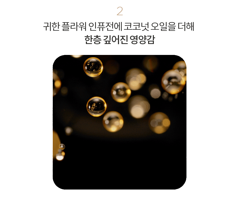 로레알파리 엑스트라 오디네리 오일 100ml 5종 상세페이지