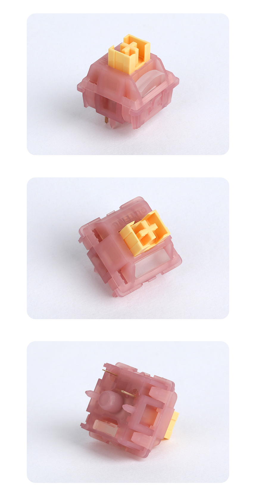 SPM_PEACH_V3_DB_03.jpg
