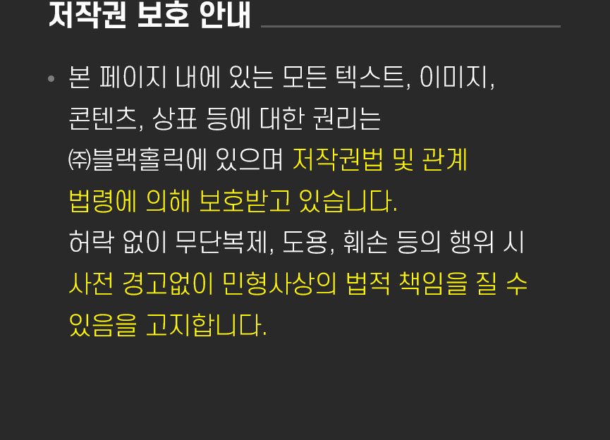 블랙홀릭