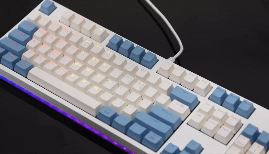 CQK81_DB_3.jpg