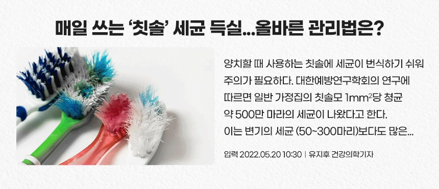 휴대용칫솔살균기추천