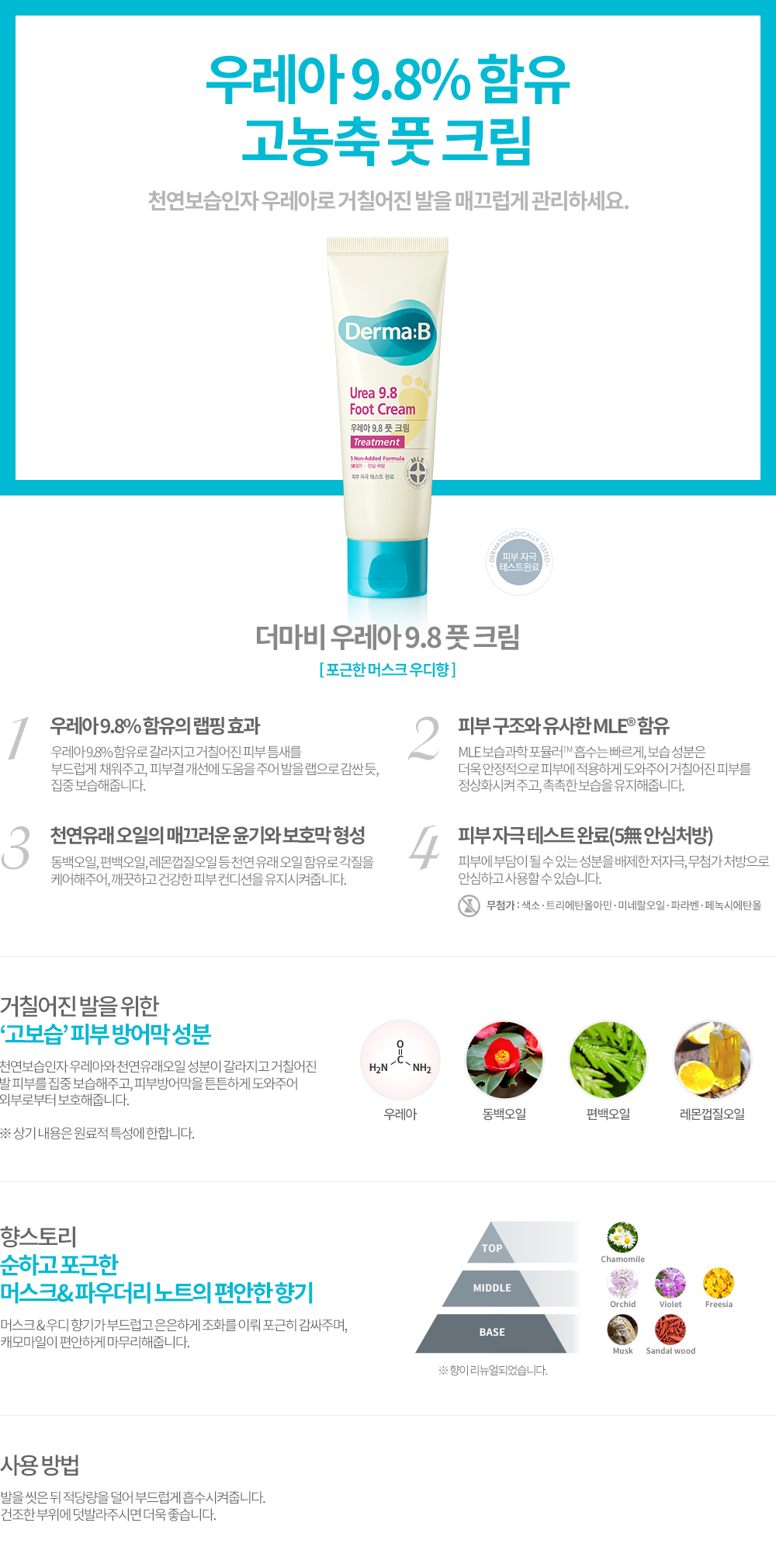 상세