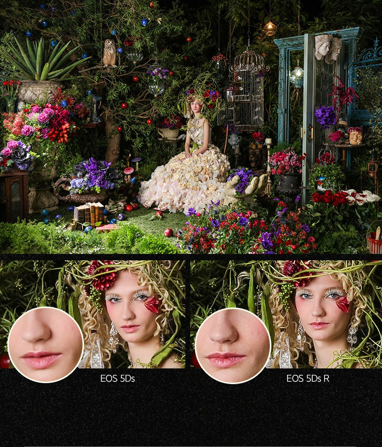 EOS 5Ds, EOS 5Ds R 사진 비교