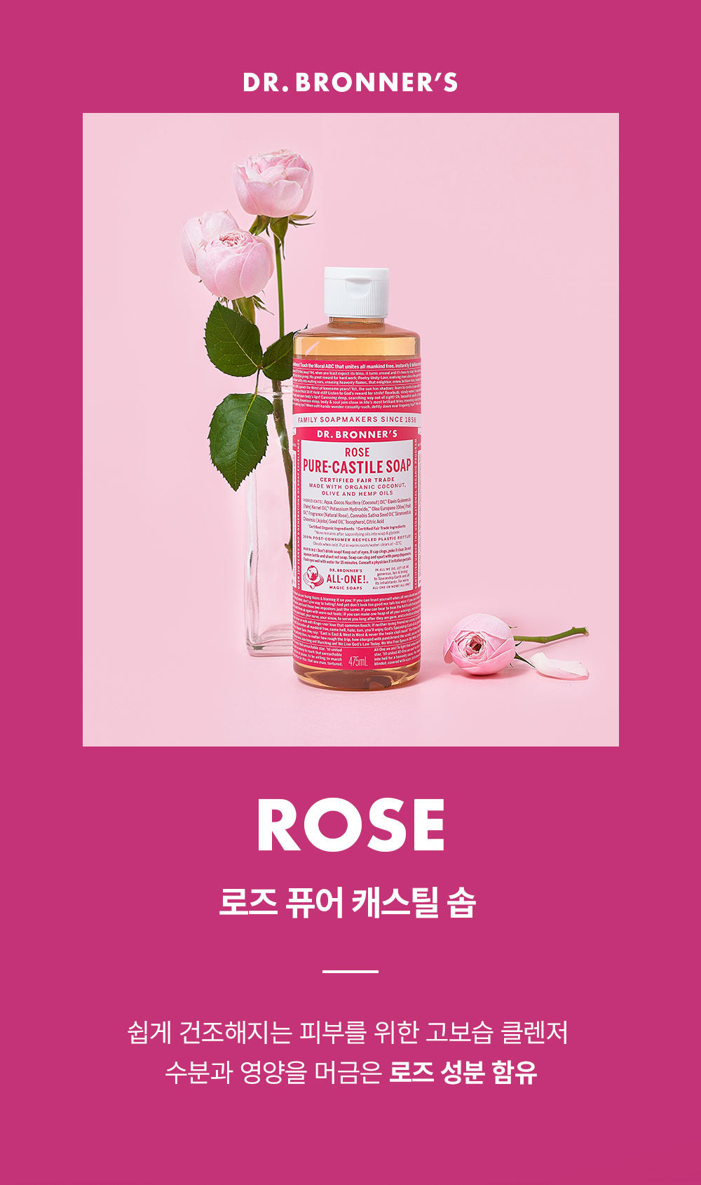로즈