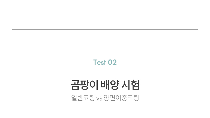 곰팡이저항성 시험