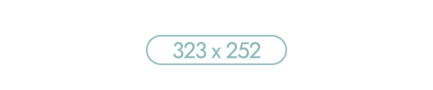 323x252_txt