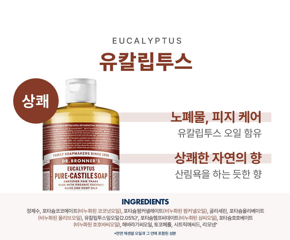 향설명-유칼립