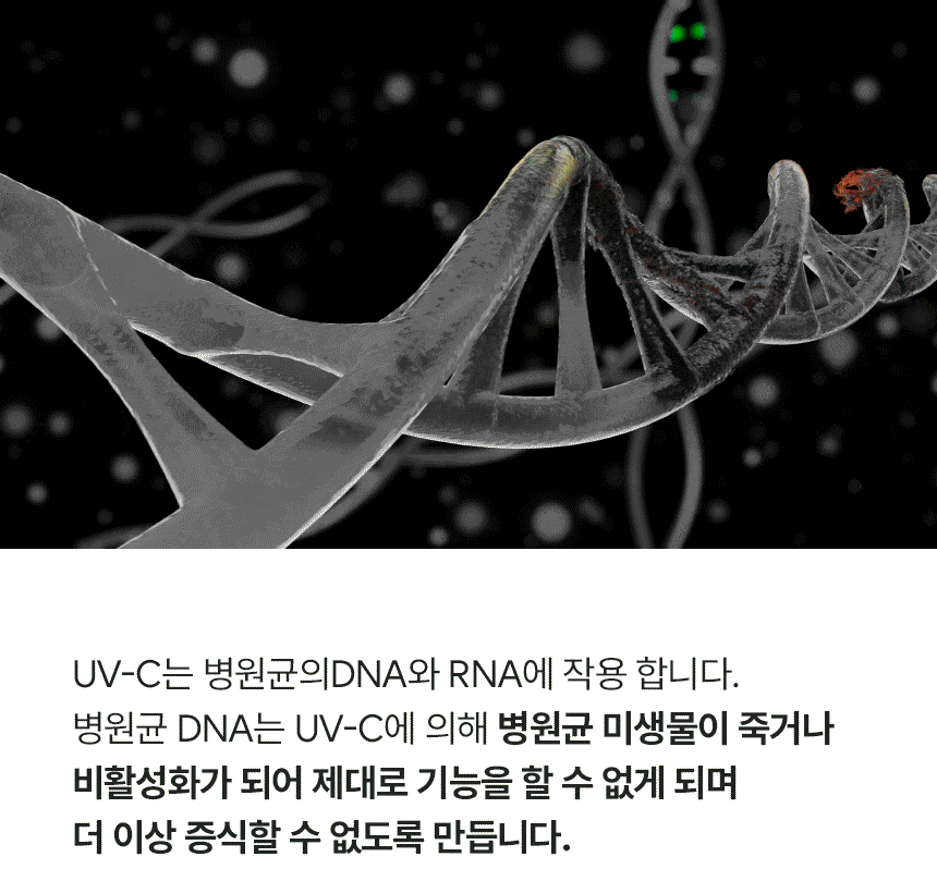 칫솔꽂이