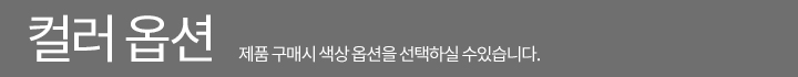 컬러옵션