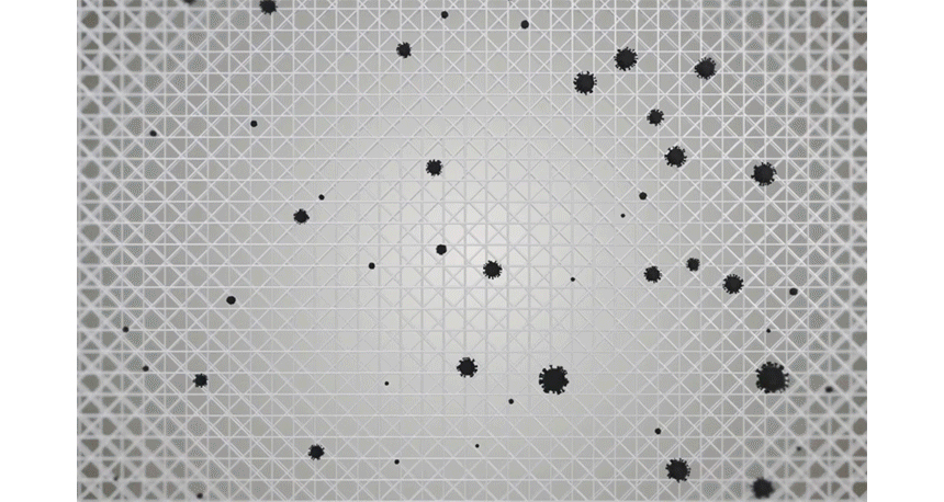 009.jpg