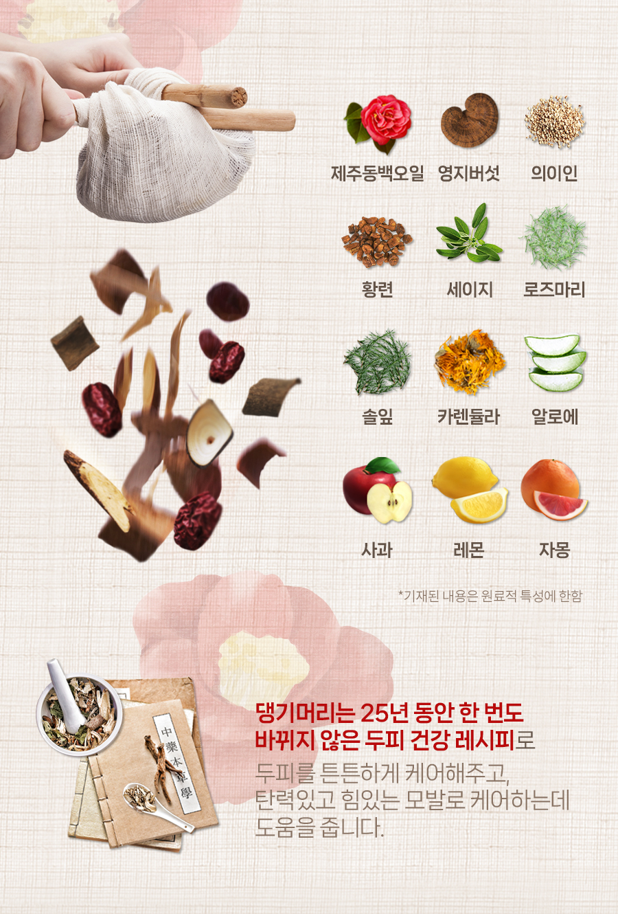 Daeng Gi Meo Ri Deul-ae-su Hair Loss Relief Shampoo 500ml