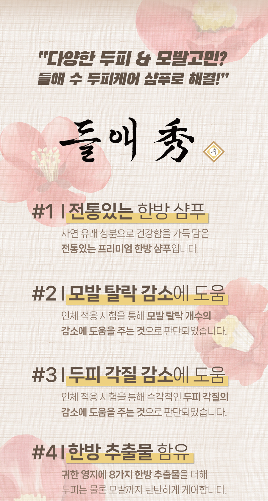 Daeng Gi Meo Ri Deul-ae-su Hair Loss Relief Shampoo 500ml