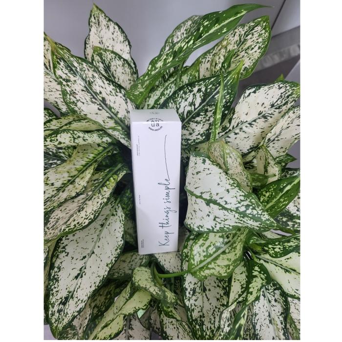 Anua Heartleaf Pore Control Cleansing Oil