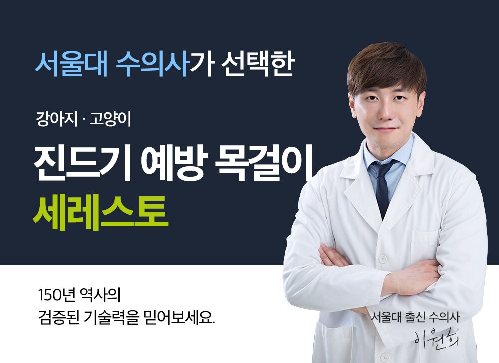 수의사의 선택