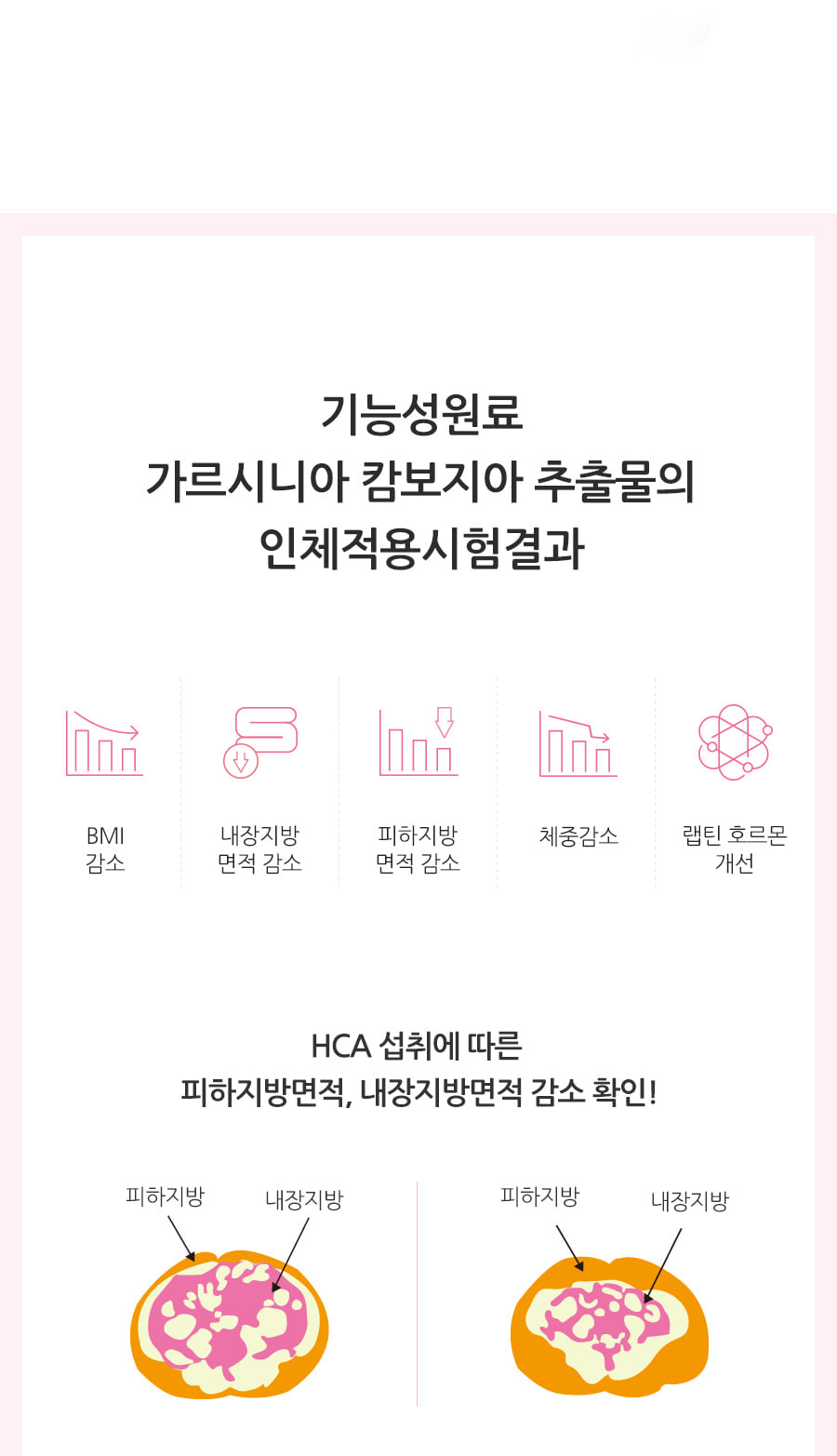 분홍이4