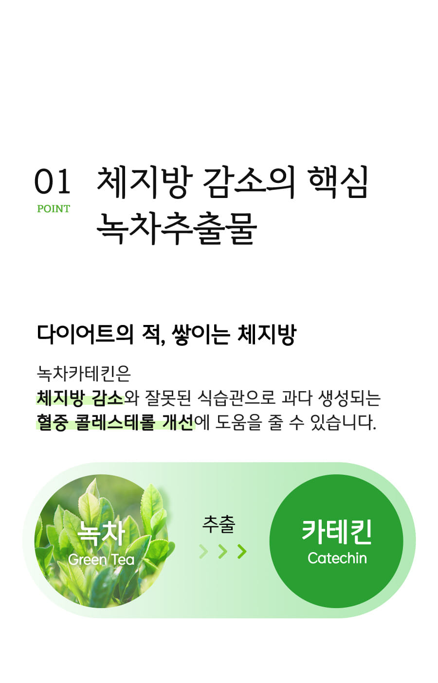 초록이시즌4