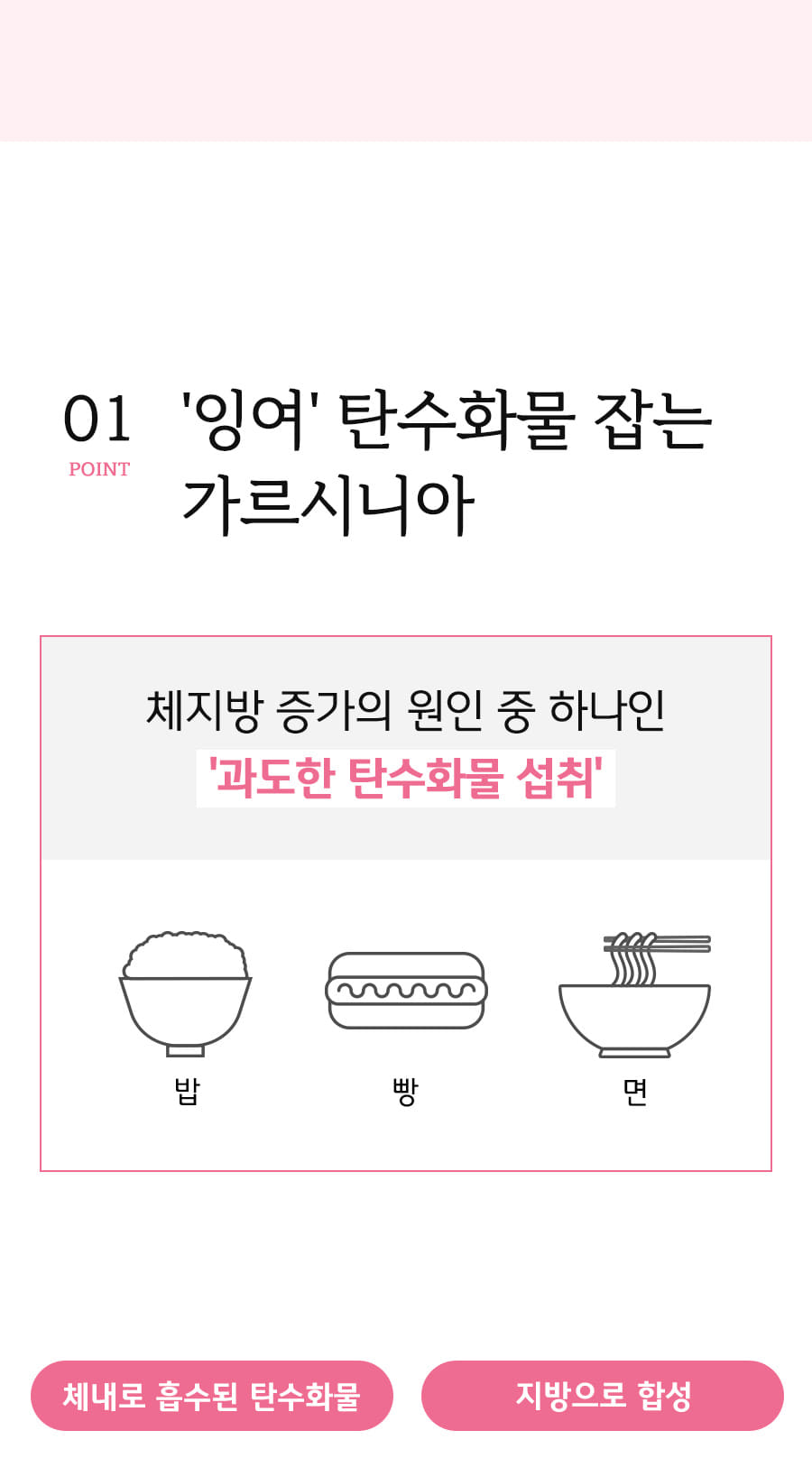 분홍이4