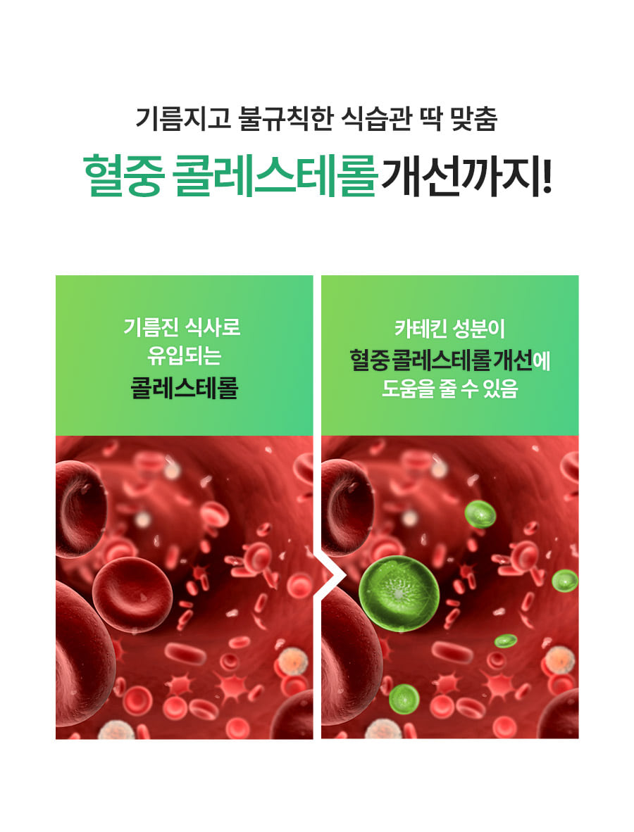 체지방컷초록이포켓