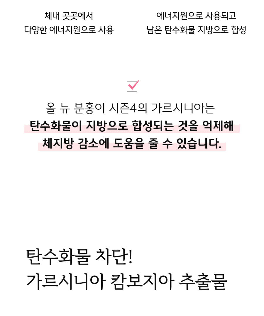 분홍이4