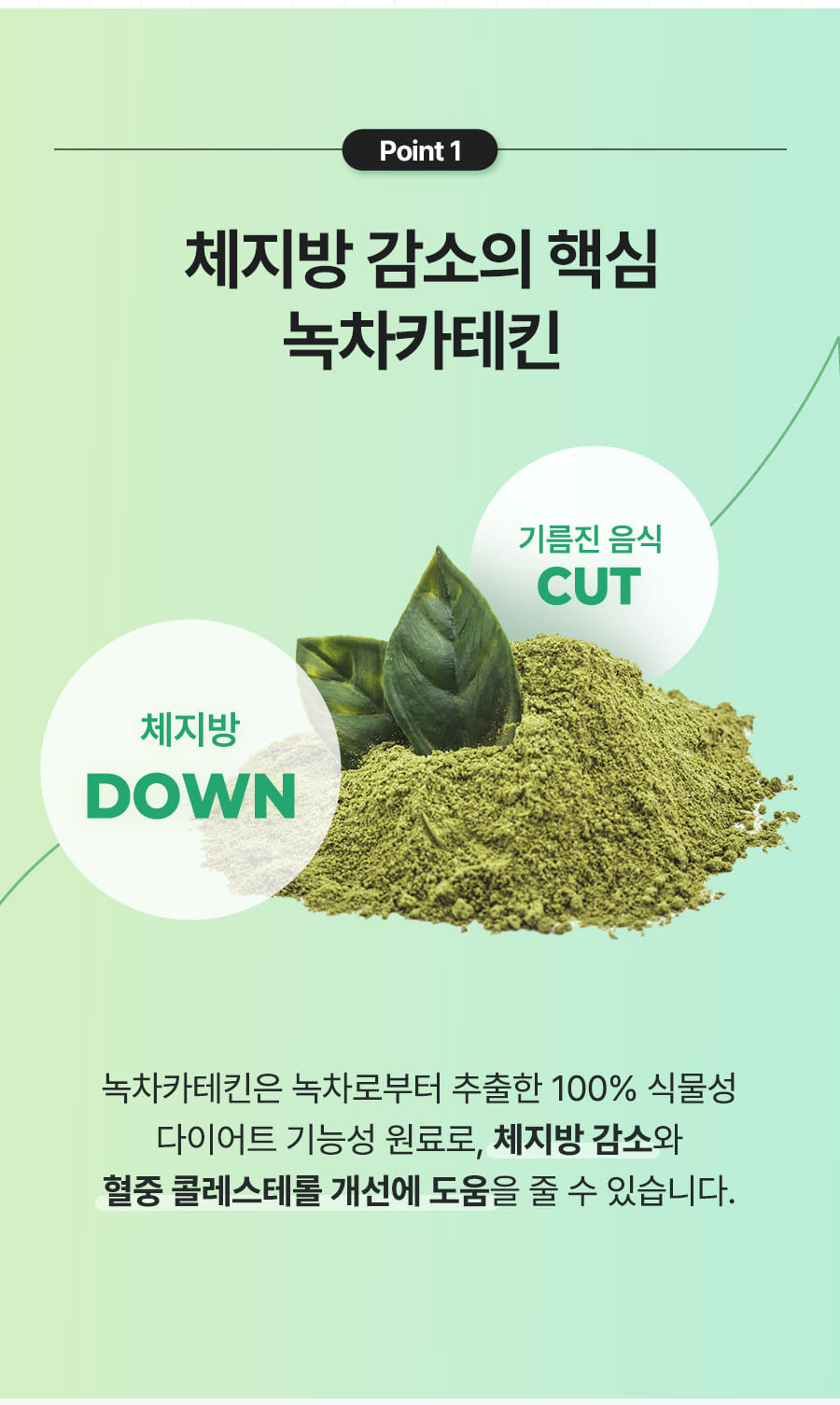 체지방컷초록이포켓
