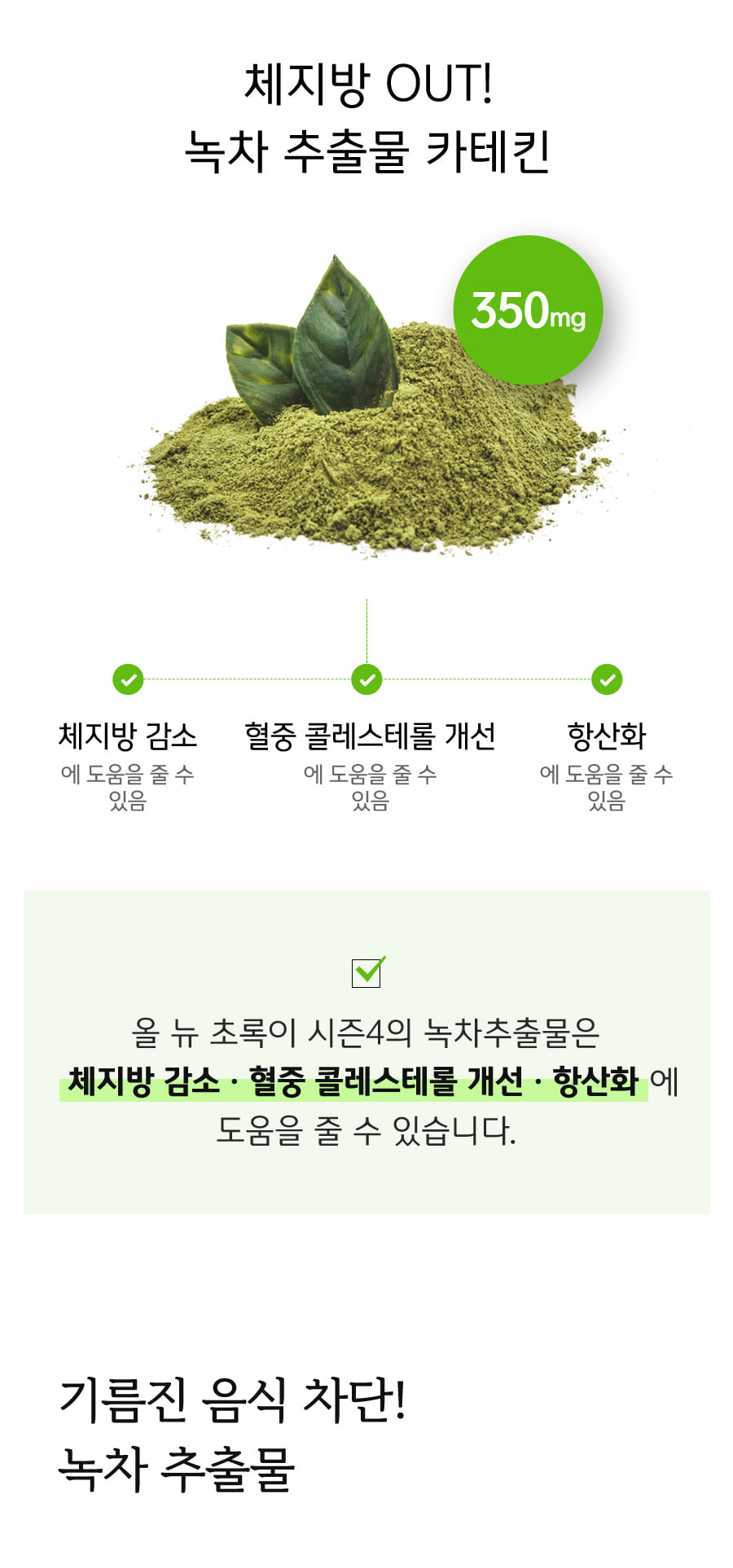 초록이시즌4