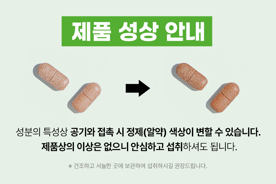 정제안내