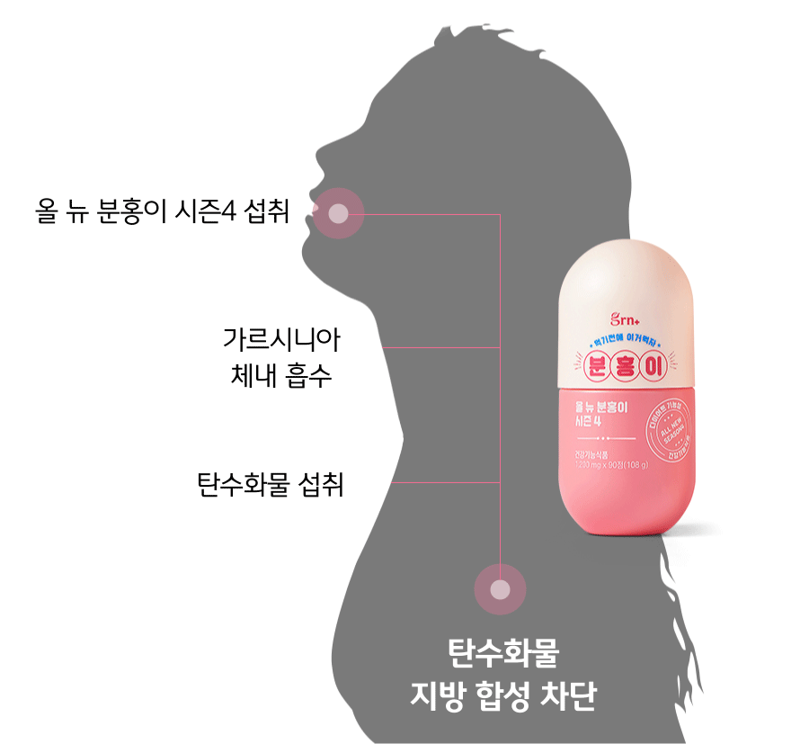 분홍이4