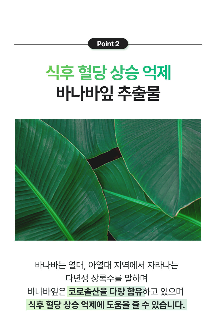 체지방컷초록이포켓