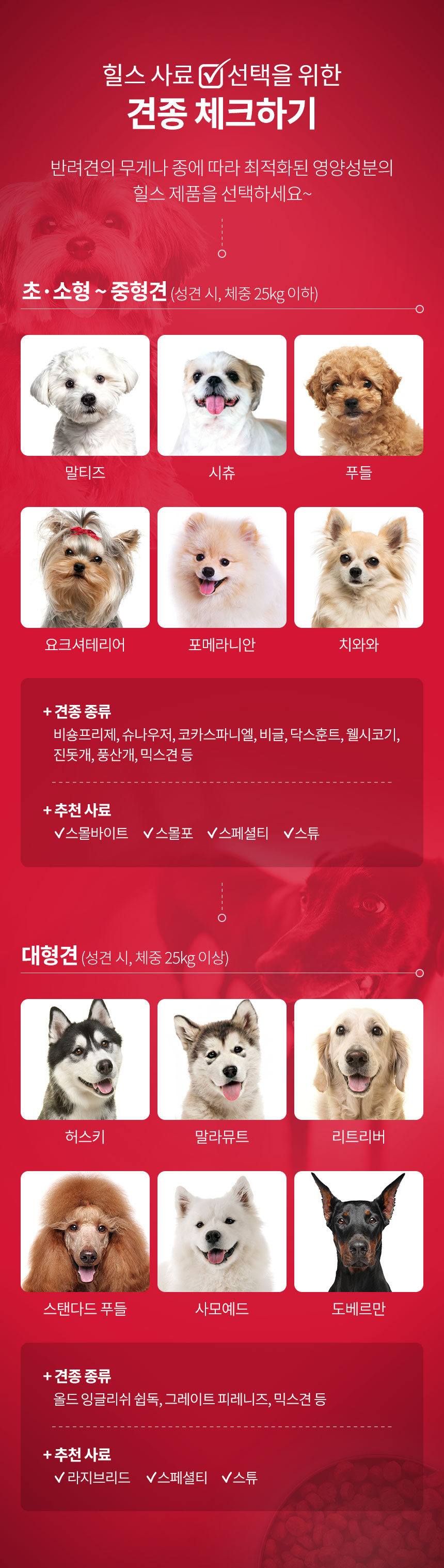 견종 체크하기
