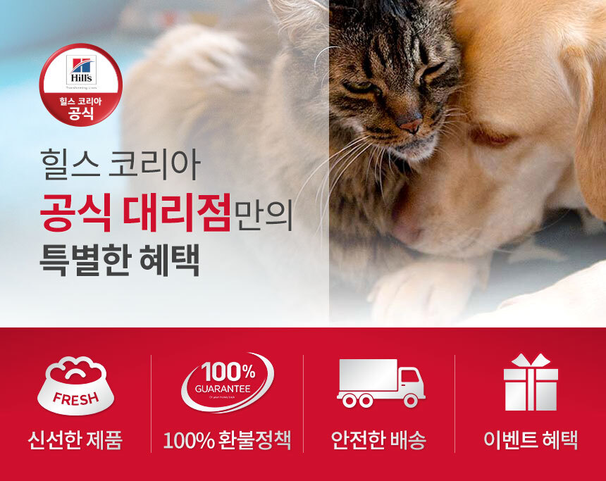 온라인 공식 대리점