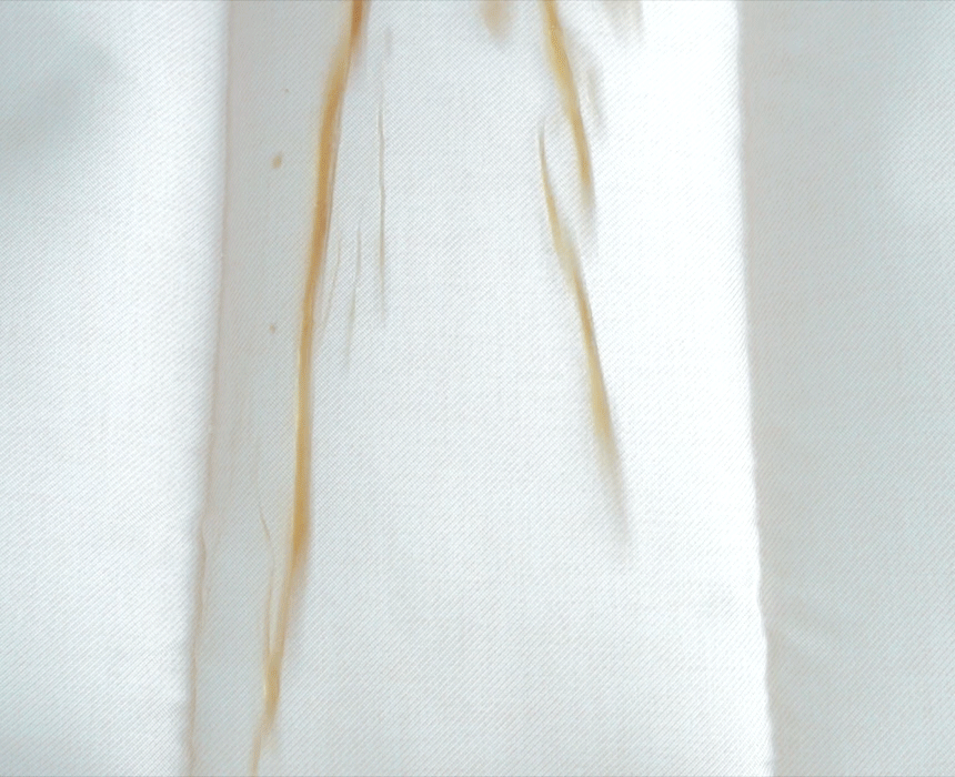 방수 gif