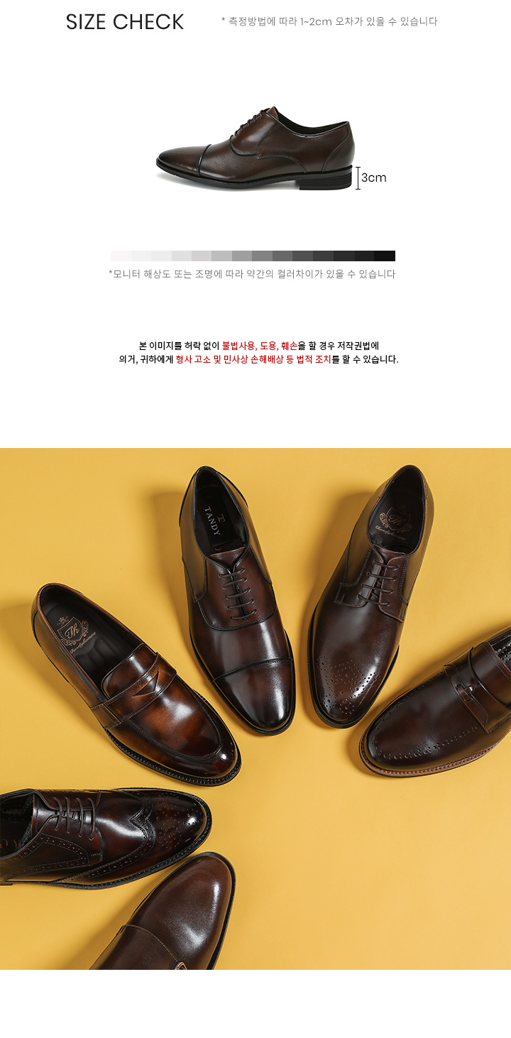탠디인포