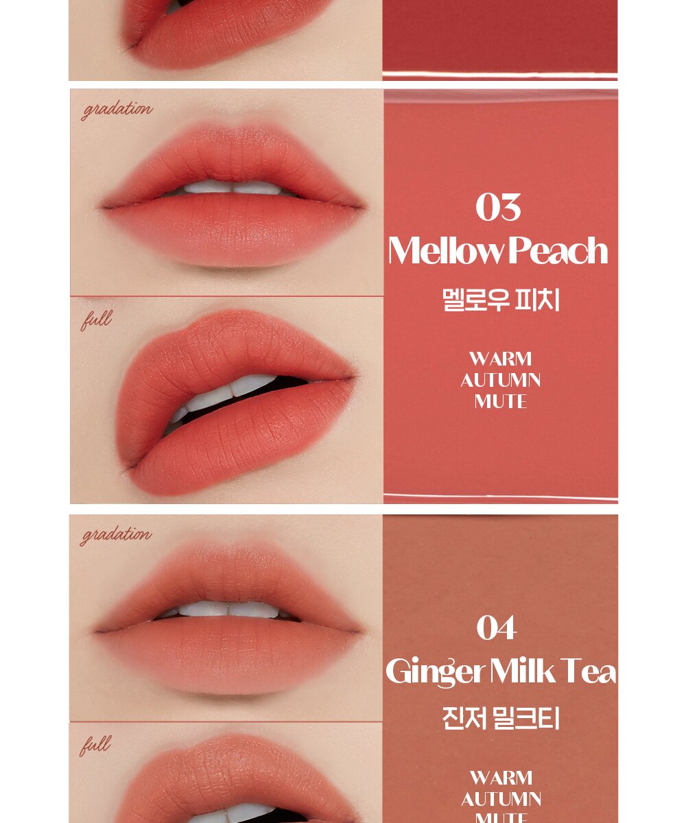 Etude House Fixing Tint 4g