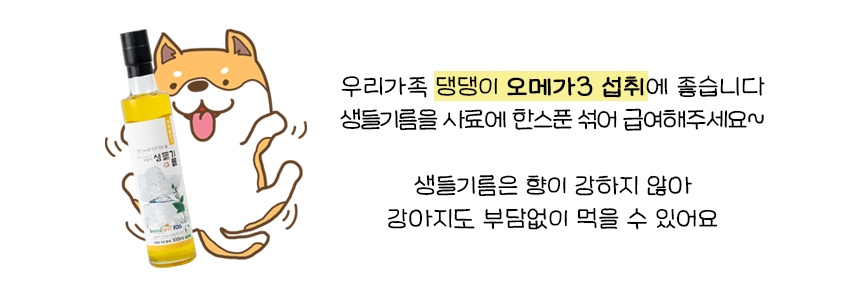댕댕이 오일.jpg