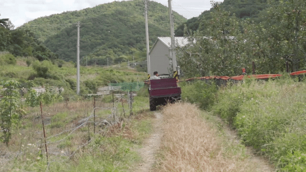 1 (24) gif.gif