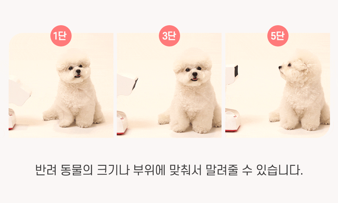 상품의 상세 설명 이미지