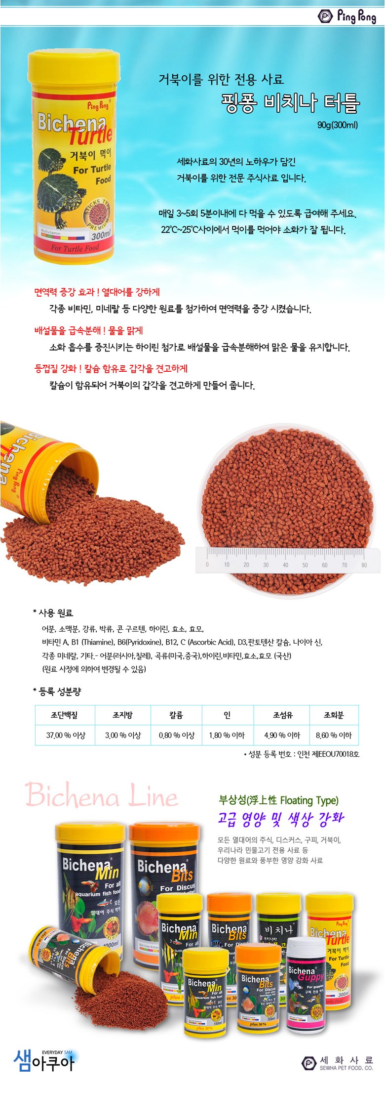 비치나 터틀