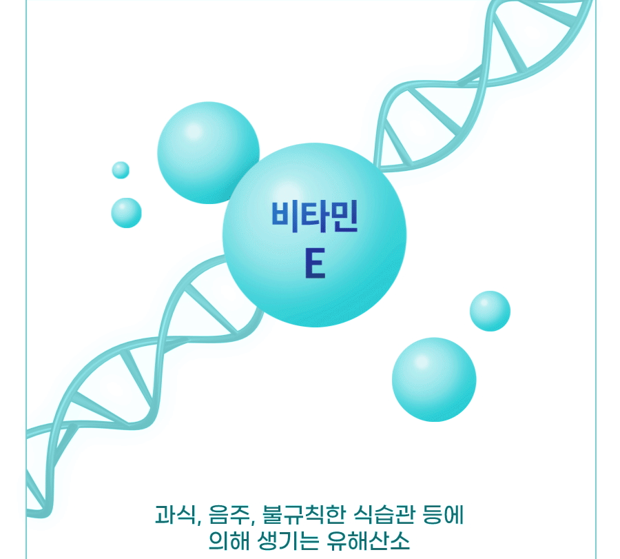 편안한밤하늘이