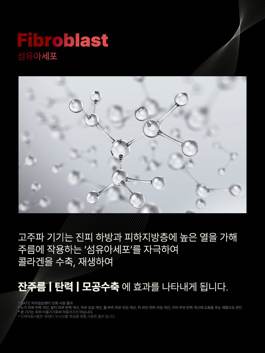 섬유아세포