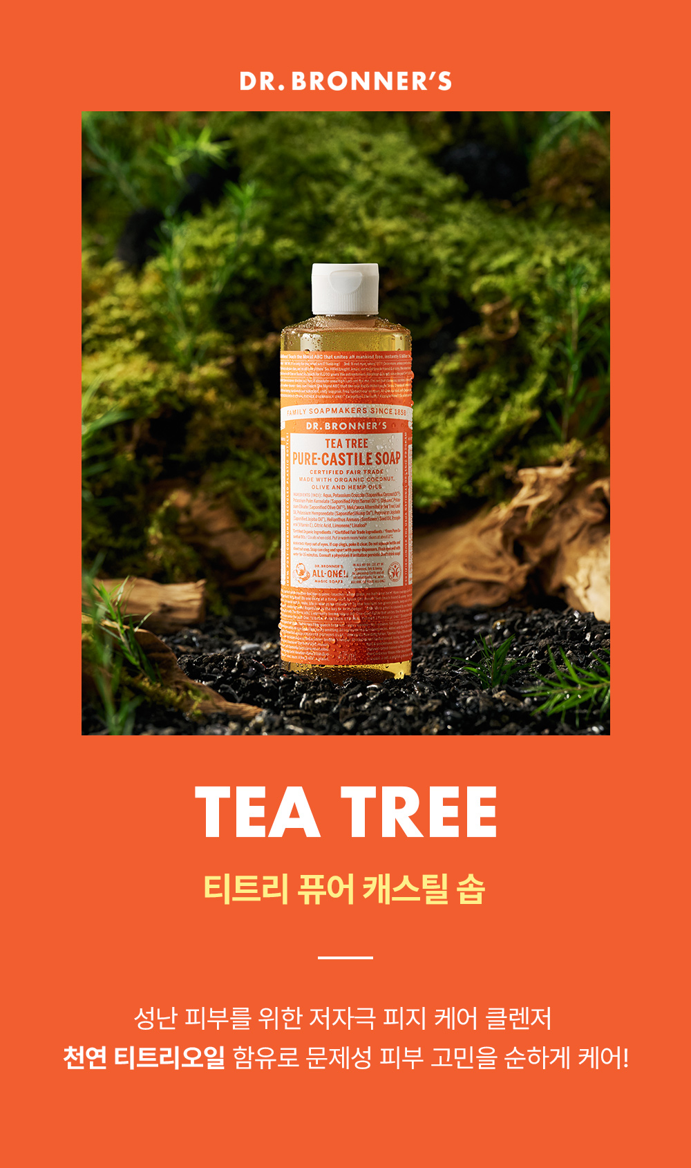 티트리